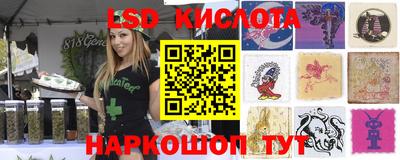 прущие крисы Кулебаки