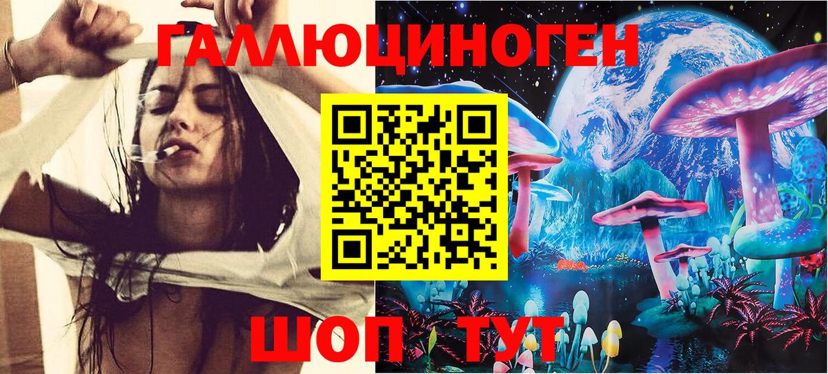 Галлюциногенные грибы GOLDEN TEACHER Дербент