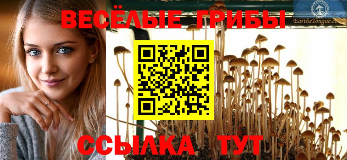 Галлюциногенные грибы Cubensis  Вход с VPN  Дербент  Псилоцибиновые грибы MAGIC MUSHROOMS 